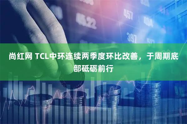 尚红网 TCL中环连续两季度环比改善，于周期底部砥砺前行