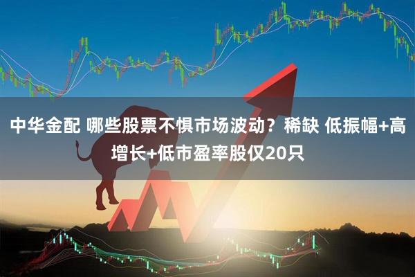 中华金配 哪些股票不惧市场波动？稀缺 低振幅+高增长+低市盈率股仅20只