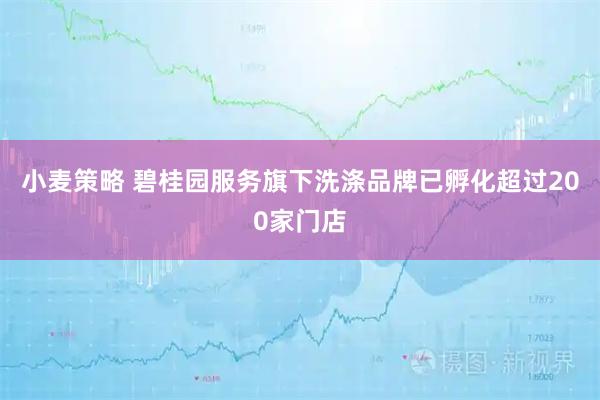 小麦策略 碧桂园服务旗下洗涤品牌已孵化超过200家门店