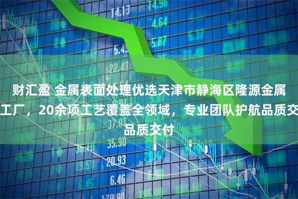 财汇盈 金属表面处理优选天津市静海区隆源金属加工厂，20余项工艺覆盖全领域，专业团队护航品质交付